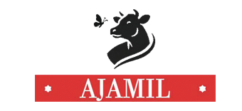 CARNICERÍA AJAMIL